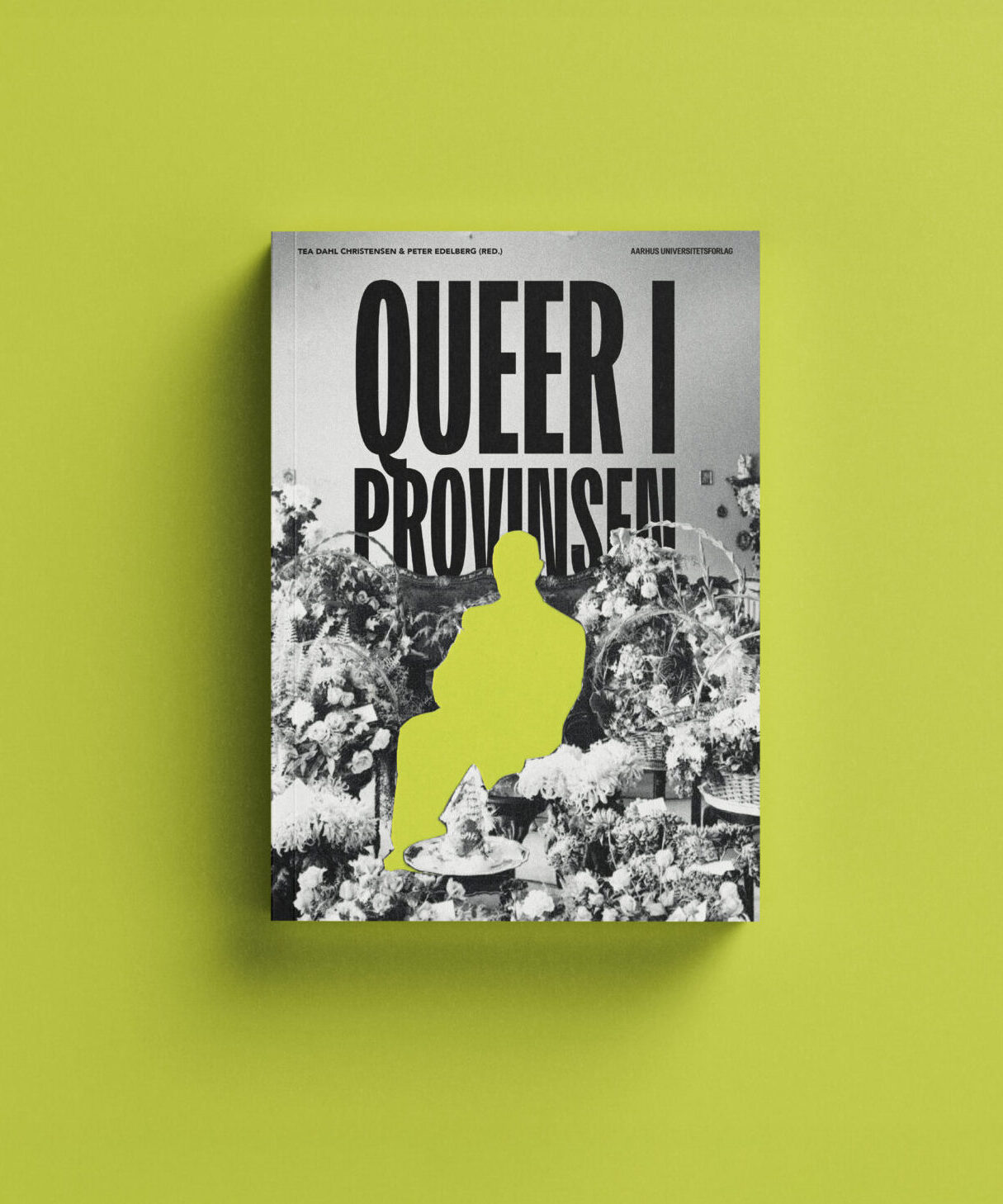 Queer i provinsen, bog Queer i provinsen, bog
